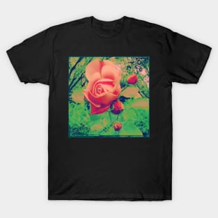 Wild Rose of the Forest T-Shirt